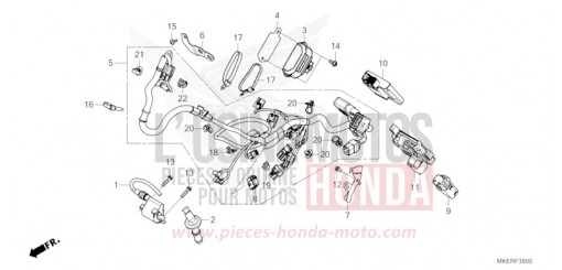 WIRE HARNESS (CRF450RR/RWER/RXR) CRF450RXR de 2024
